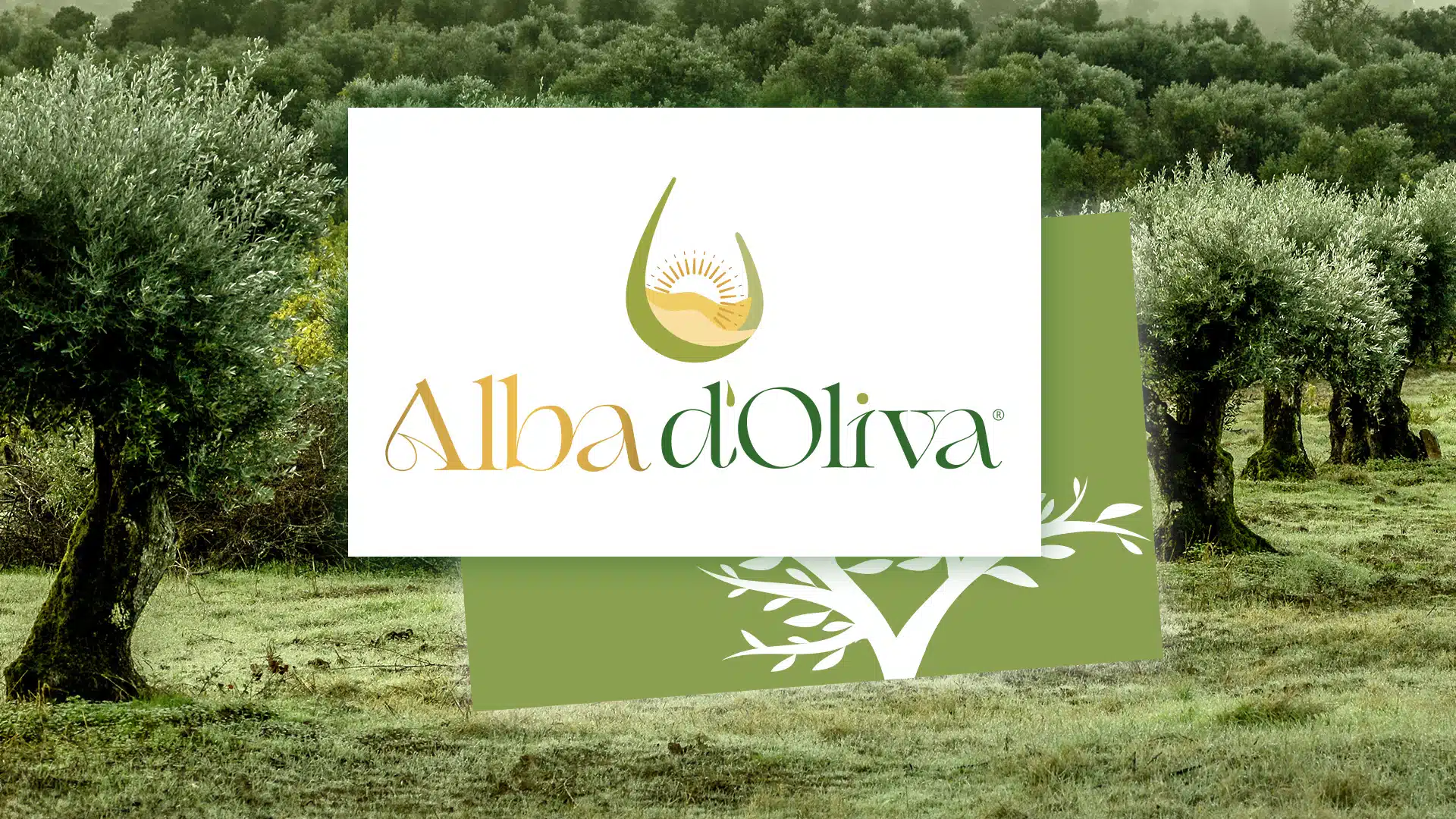 Alba d’Oliva